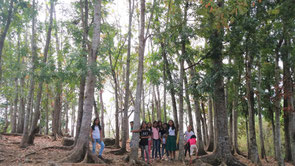 CFP activities from 2008 created a great school forest.