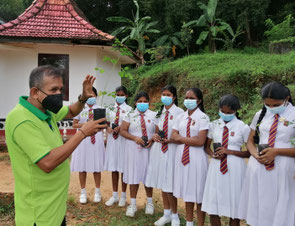 Tree-planting activities after a long absence