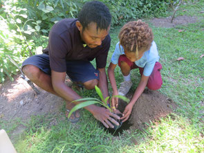 Carefully planting trees while being taught by OISCA staff