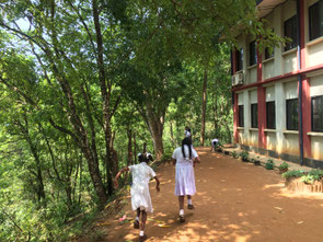 The school forest, which has grown to a large size has become an ideal playground for children, as they hold classes in the shade of the trees.