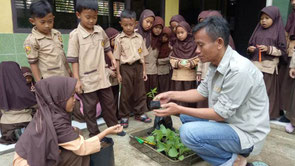 Children have learned how to make the seedlings in pot from OISCA coordinator.