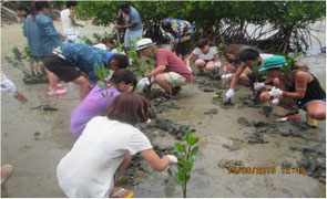 Toyo University students planting mangrove trees on the Viti Leve Island beach in Fiji