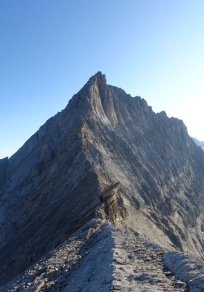 Fründenhorn SW Grat, Südwestgrat, Westgrat, Fründehorn, Fründenjoch, Zustieg, Doldorphin, Fründenhütte, Oeschinensee, Zustieg Oeschinenjoch