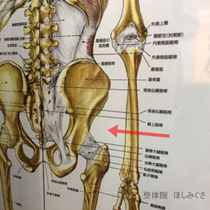骨盤矯正で股関節が痛むという場所