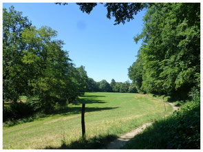 Röder-Auwiesen in ihrer vollen Weite. Rechts die bewaldeten Abhänge des Röder-Einschnittes (die „Leithen“) vom Lotzdorfer Schafberg,  links der Ufer-Bewuchs der Röder.