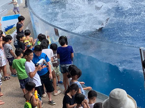 京都水族館Bashaaaaaaanで。イルカの水しぶきを浴びていますよ