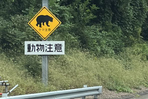 写真はイメージです