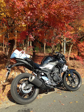 カッコいい　バイクではある