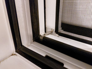 warum ist es so wichtig fenster und balkone katzensicher zu machen streunerhilfe ni no e v