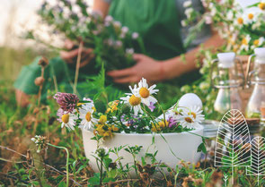 Reiseapotheke, Naturapotheke, TCM Ernährung, Heilkräuter, Workshops, ätherische Öle