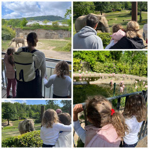 Ceska skola kubik, Deutsch-Tschechischer Kultur-und Bildungskreis  Frankfurt, Česká škola Frankfurt, Česká škola KuBik, Ceska skola Frankfurt, DT-KuBik, češi v zahraničí, OPEL-ZOO