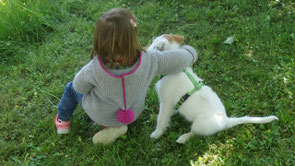 Ein netter Familienhund:-)