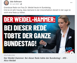 Udo Kellmann verteilt AfD