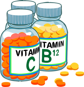 Vitamine_Hunde_Katzen_Barfen
