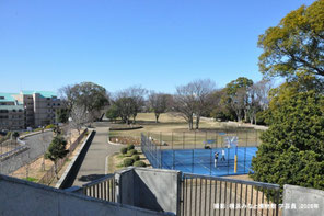 現在の野毛山公園