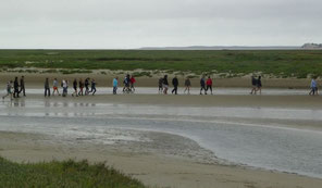 Somme Groupes - Somme - Groupes - Baie de Somme - Voyages en groupes - Scolaires - Promenade en Baie - Activités - Hauts de France - Picardie