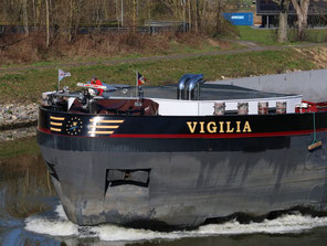 Vigilia