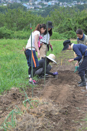 農業体験　体験農場　自然栽培　固定種　さとやま農学校