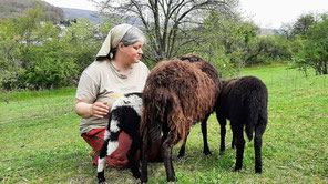 Nadine Kessler mit einem Schaf und zwei Jungtieren