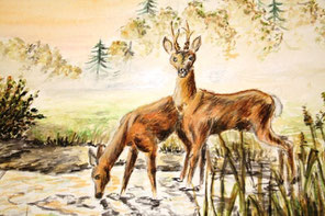 Rehe am Wasser, 1961, Herbert Pelz jun.