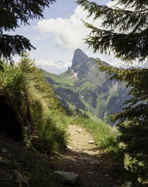 Hohgant Furgegütsch, Schrattenfluh