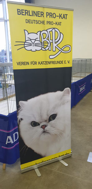 Werbeplakat Katzenvrein Berliner Pro-Kat, 2019