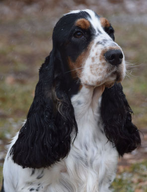 Sammy im Alter von 12 Jahren