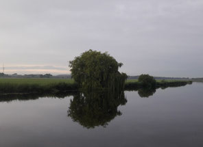 Foto: Inke Studt-Jürs
