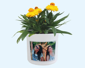 Blumentopf Mit Foto Blumentopf Gestalten