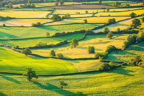 Hay meadows and pastureland and hedgerows