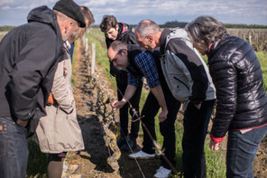 VinoLoire - Vincent Delaby - Excursions privilégiées dans les domaines vignobles du Val de Loire - Visites guidées AOC Vouvray