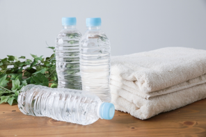 ペットボトルの水３本と、綺麗にたたまれたやわらかそうな２枚の白いタオル