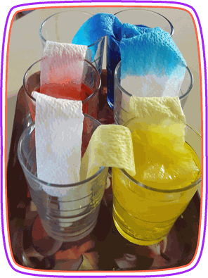 Forscherkids: Experimente zum Mitmachen für Kinder