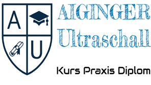 Education Medicine Ultrasound CEUS Lectures Course HandsOn