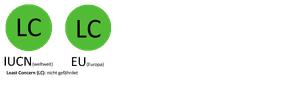 Schutzstatus des Raubwürgers gemäß der Roten Liste der Brutvögel des IUCN, EU, in Deutschland, Österreich und der Schweiz.