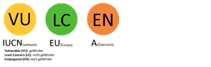Schutzstatus des Raubwürgers gemäß der Roten Liste der Brutvögel des IUCN, EU, in Deutschland, Österreich und der Schweiz.