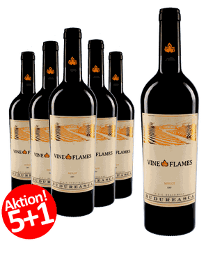 6-er Weinpaket | The Vine in Flames Merlot 2016