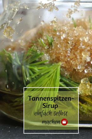 Tannenspitzensirup #selbstmachen #sirup #fichtenhonig #frühlingsrezepte