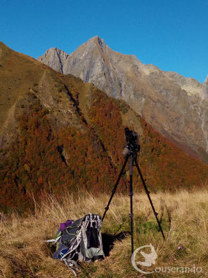 Observation des oiseaux dans les Pyrénées - GAUTIER Doriane, Couserando - Ariège Pyrénées