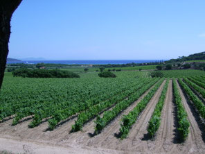 sur la route de la Touraque