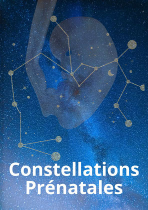 constellations familiales prenatales a tours 37 - farhad daneshmand - via energetica