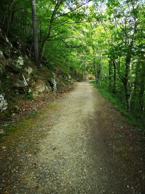 Wanderweg bei La Trappola, Italien ©