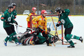 Bild: sierre-lions.ch