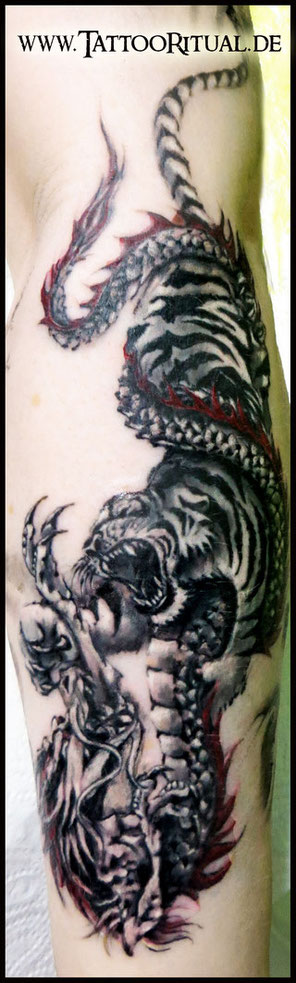 Tattoo Rostock, TattooRitual, Tattoo Tiger Drache, Tattoostudio Rostock