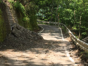 普通の4輪車はむつかしいか