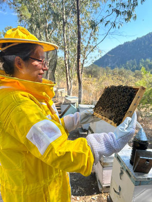 Anna steht in Imkerschutzkleidung bei einem Bienenvolk und hält einen Bienenstock in den Händen