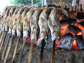 釣った魚はその場で塩焼き！誰でも簡単魚釣り！