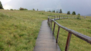 Brücke Holzbrücke Sumpf Moor Zams Wenns Alpen Österreich E5