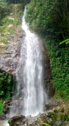 Cascada en Parque Nacional Montaña, Comayagua.