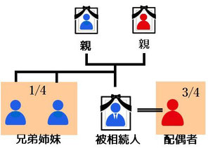 法定相続人／配偶者と兄弟姉妹の関係図　行政書士｜田野重徳｜法務事務所｜千葉県茂原市｜千葉県警察｜元警察幹部｜コメンテーター｜ミヤビ プロモーション｜農地転用｜相続・遺言｜法人・会社設立｜建設業許可｜飲食業許可｜風俗業許可